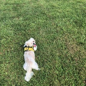 Meet your Posher, Tiffany